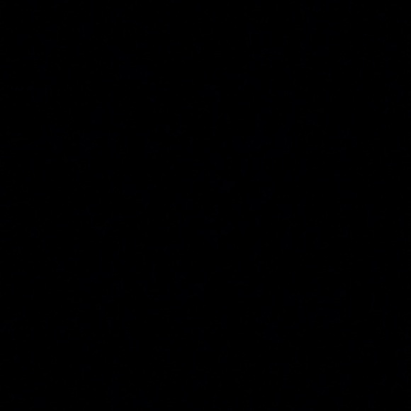 discorice77
